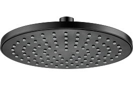 Shower head, 1-function Boro