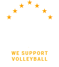 Volleyball logo